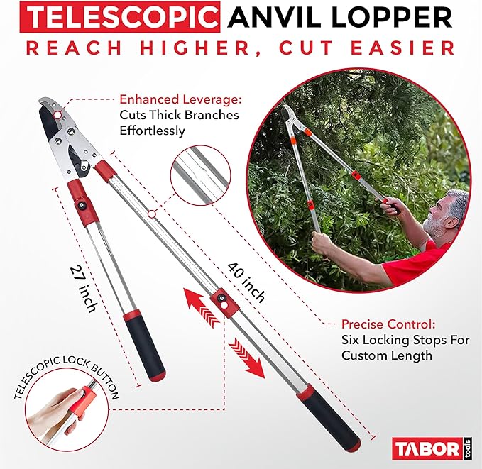 TABOR TOOLS GG22A Telescopic Extendable Anvil Lopper with Compound Action, 27-40 Inch Telescopic Tree Trimmer, Long Handled Branch Cutter with ⌀ 2 Inch Cut Capacity, Chops Thick Branches with Ease.
