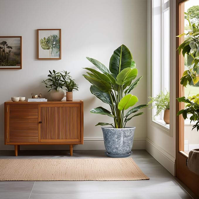 Ceramic Pots for Plants - 10 Inch Planter with Drainage Hole and Saucer, Round Plant Pot for Indoor Outdoor, Decorative Flower Pot, Modern Planter, Garden Decor, Gifts for Plant Lover, Grey