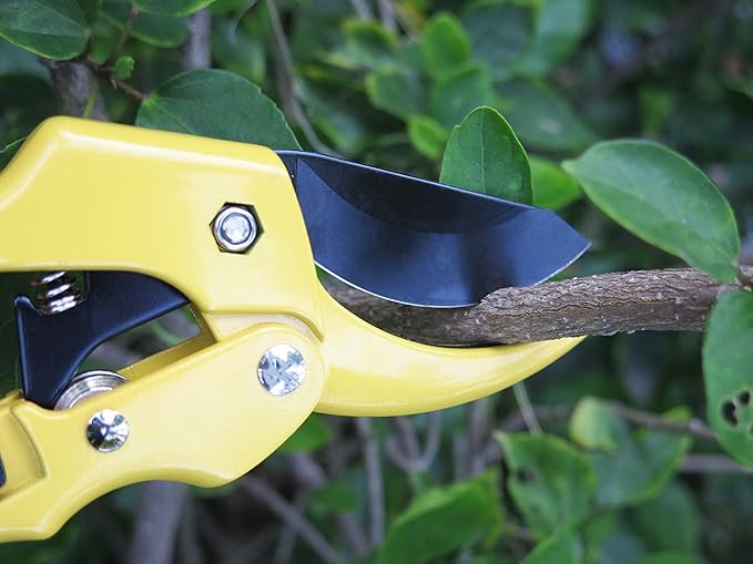 Bypass Pruning Shears 8 Inch Sharp and Easy to Hold Garden Shears, Clippers, Scissors (MSG302)