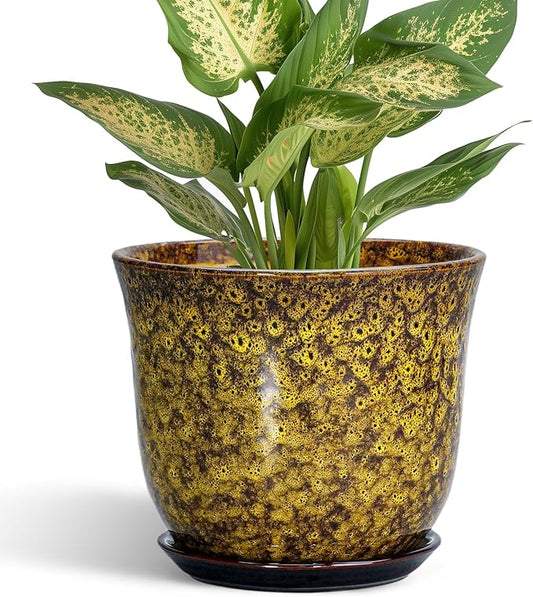 Ceramic Plant Pots - 5.6 Inch Planter with Drainage Hole and Saucer, Succulent Orchid Pots for Indoor Outdoor, Small Round Flower Pot, Room Window Office Decor, House Warming Gifts, Yellow