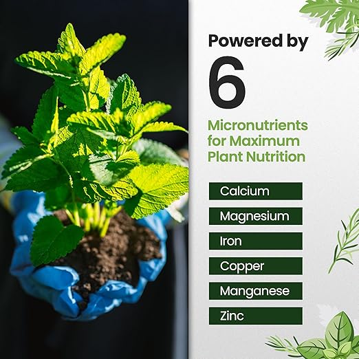 32oz Liquid Fertilizer for Vegetable Garden – Makes 48 Gallons of Garden Fertilizer for Outdoor Vegetables - Herbs & Leafy Greens Live Plants Indoor Plant Food, Liquid Plant Food for Growth & Flavor