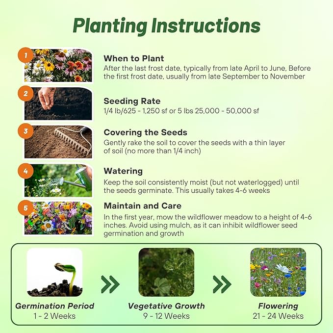 Outsidepride Perennial Wild Flower Seed Mix - 1 lb. Diverse, Long-Lasting Blooms, Easy to Grow Perennial Flower Seeds for All States, Perfect for Home Gardens, Landscapes, and Attracting Pollinators