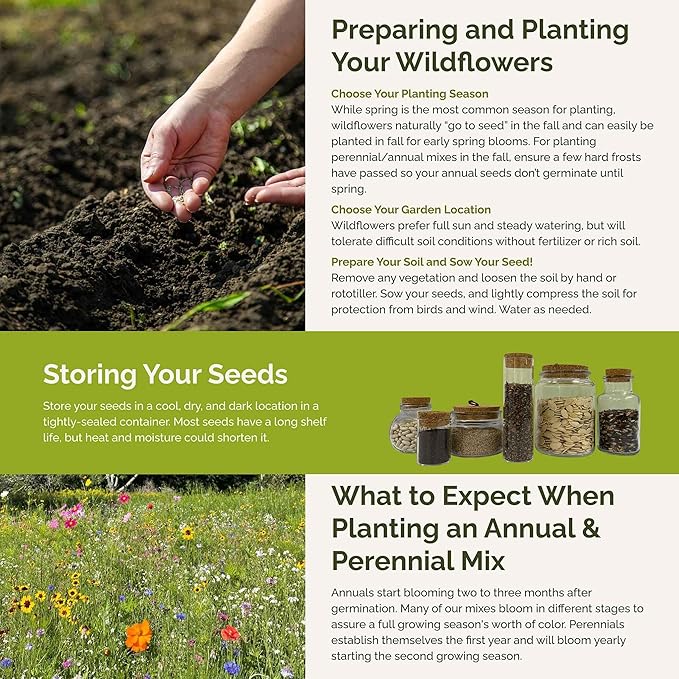 Eden Brothers Partial Shade Wildflower Mixed Seeds for Planting, 1/4 lb, 120,000+ Seeds with Sweet William, Foxglove | Attracts Pollinators, Plant in Spring or Fall, Zones 3, 4, 5, 6, 7, 8, 9, 10