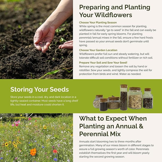 Eden Brothers Burst of Bloom Wildflower Mixed Seeds for Planting, 50 lb, 24,000,000+ Seeds with Cosmos, Black Eyed Susan | Attracts Pollinators, Plant in Spring or Fall, Zones 3, 4, 5, 6, 7, 8, 9, 10