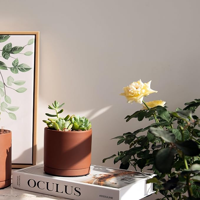 D'vine Dev 4 Inch Rust Terracotta Plant Pot with Drainage Hole and Saucer, Round Cylinder Planter Pot for Indoor Plants, Set of 2, 40-V-A-2