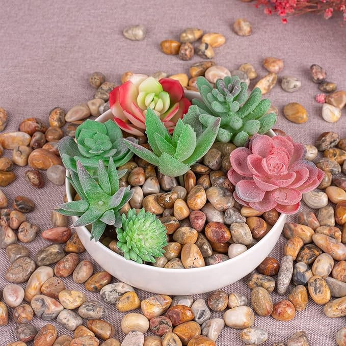 Polished Crazy Lace Agate Crystal Stone Set - 72 Pcs, 0.5" 10 oz Handpicked Natural Tumbled Gemstones Rocks, Pebbles for Reiki, Chakra, Healing, Home Decor