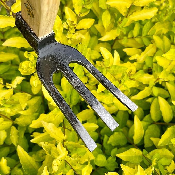 14 inch Japanese Hand Tiller/Rake for Garden, 3-tines Cultivator, Without Welding, Oak Handle, for Digging, Soil Preparation, Chopping Through Roots and Hard Soil and Other Gardening tasks