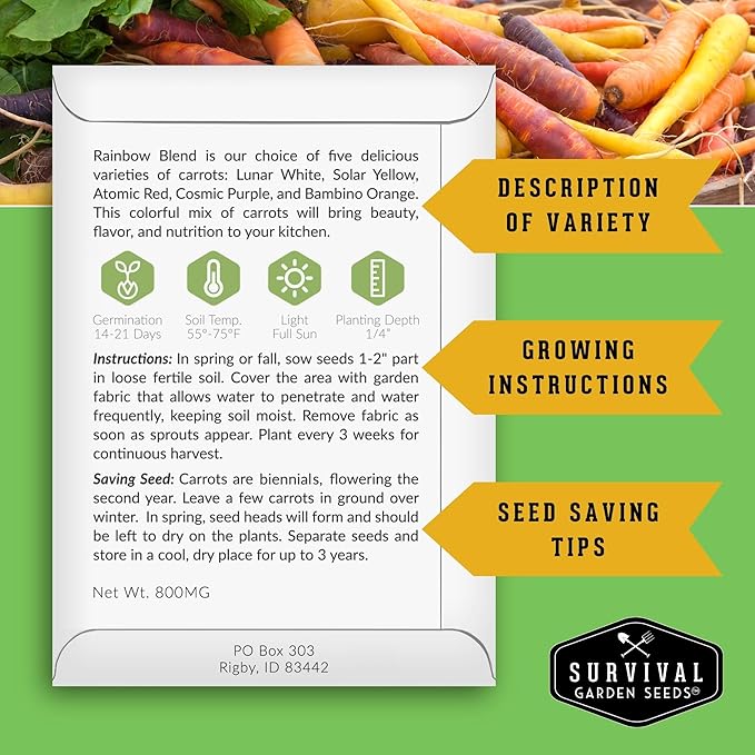 Fall & Winter Vegetable Seed Collection – 8 Packs of Non-GMO Heirloom Seeds for Planting Vegetables | Autumn & Indoor Gardening Seed Pack – Survival Garden Seeds