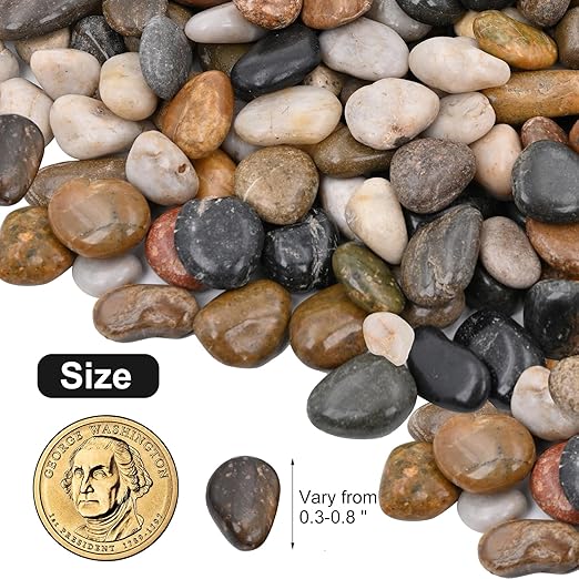 20Ib Rain Forest Rocks- Decorative Pebbles for Plants- River Rocks for Outdoor Landscaping- 0.3"-0.8" inch High Polished Stones for Aquarium, Terrarium,Vases, Home Decor