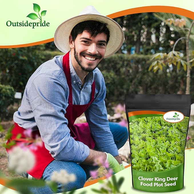 Outsidepride Perennial Clover King Seed Mix - 40 lbs Nitrocoated, Inoculated, Heat & Cold Tolerant, Alfalfa-Enhanced Food Plot Seeds for Deer & Wildlife, Ideal for Spring, Summer, & Winter Plots