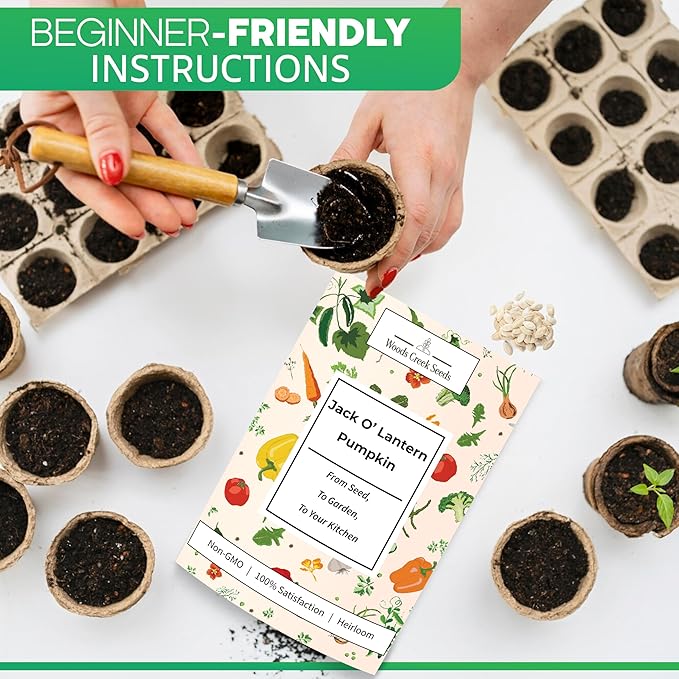 Jack O Lantern Pumpkin Seeds for Planting - Over 40 Heirloom Non-GMO Pumpkin Seeds to Plant - Ideal Heirloom Seeds to Grow for Decor & Fall Harvest - Pumpkins for Outdoor Gardens