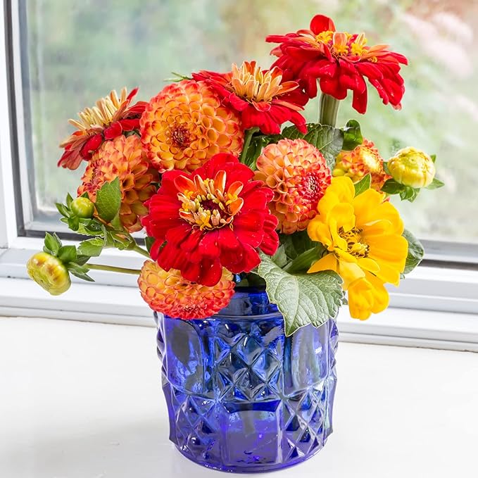 Park Seed Zinnia Flower Planting Seeds, Easy to Grow, Perfect for Spring Garden, Magellan Mix, Pack of 25