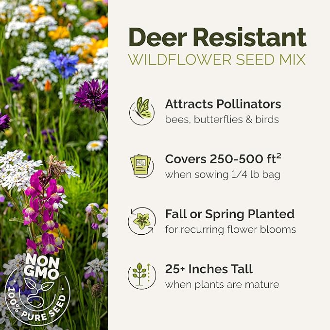 Eden Brothers Deer Resistant Wildflower Mixed Seeds for Planting, 10 lb, 4,800,000+ Seeds with Foxglove, Forget Me Not | Attracts Pollinators, Plant in Spring or Fall, Zones 3, 4, 5, 6, 7, 8, 9, 10