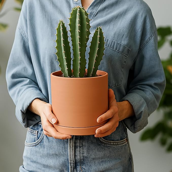 D'vine Dev Small 6 Inch Terracotta Plant Pot with Drainage Hole and Saucer, Round Cylinder Planter Pot for Indoor Plants, Set of 2, 40-X-B-3