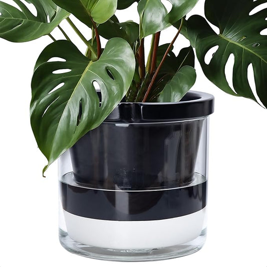 D'vine Dev 10 Inch Design Self Watering Planter for Indoor Plants, Black Terracotta Pot with Cylinder Glass Cup, 37-X-D-3