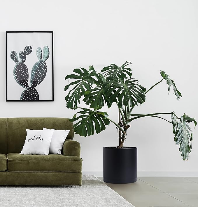 D'vine Dev 14 Inch Black Plastic Planter Pots for Plant Pot with Drainage Hole and Seamless Saucers, 74-X-B-4