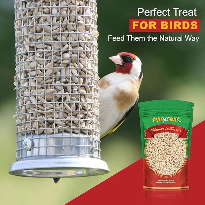 Raw Sunflower Seed Kernels by We Got Nuts - Premium Quality Kosher Shelled Sunflower Seeds - Natural & Healthy Fitness & Diet-Friendly Snack- Raw, Shelled & Unsalted- Air-Tight Resalable Bag- 5 lbs