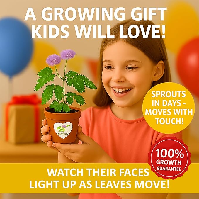 TickleMe Plant Birthday Party Favors (Pack of 2) – Leaves Fold When You Tickle It, Reopen in Minutes – Grow Your Own Fun Interactive Kids Plant Growing Kit, Educational Gift