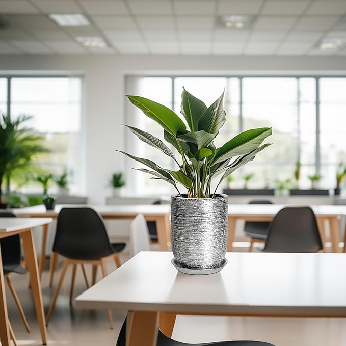 Ceramic Flower Pot for Plants - 8 Inch Plant Pot Indoor with Drainage Hole and Saucer, Cylinder Modern Outdoor Round Planter, Gardening Gifts for Women Men, Garden Office Decor, Silver