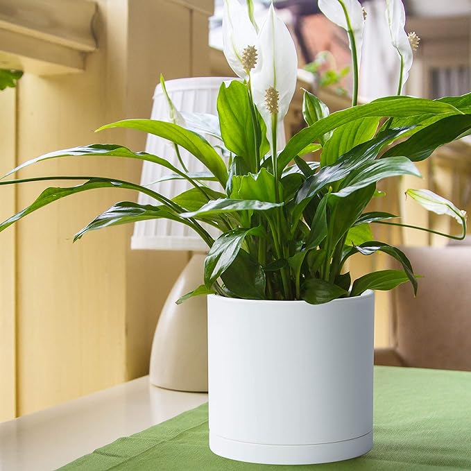 D'vine Dev 8 Inch Plastic Planter Pots for Plant Pot with Drainage Hole and Seamless Saucers, White Color, 74-X-A-1