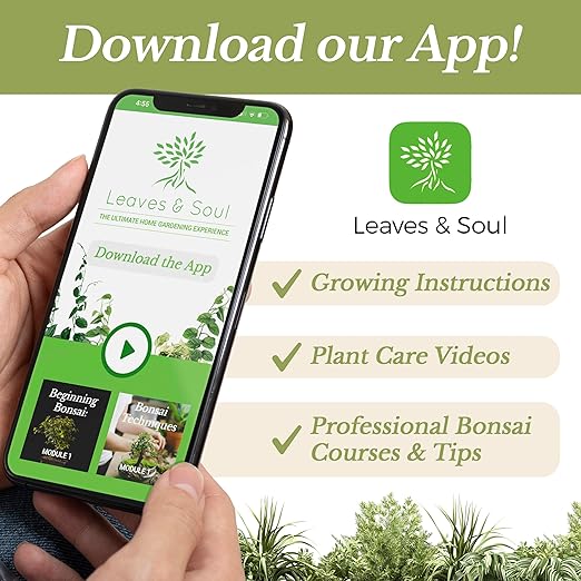 Professional Liquid Philodendron Plant Fertilizer | 3-1-2 Concentrate for House Plants | Multi-Purpose Blend & Gardening Supplies | 8 oz Bottle