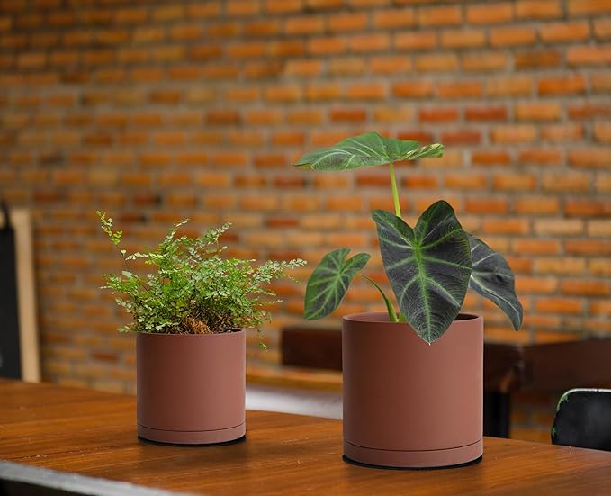 D'vine Dev 4 Inch Rust Terracotta Plant Pot with Drainage Hole and Saucer, Round Cylinder Planter Pot for Indoor Plants, 40-V-A-3