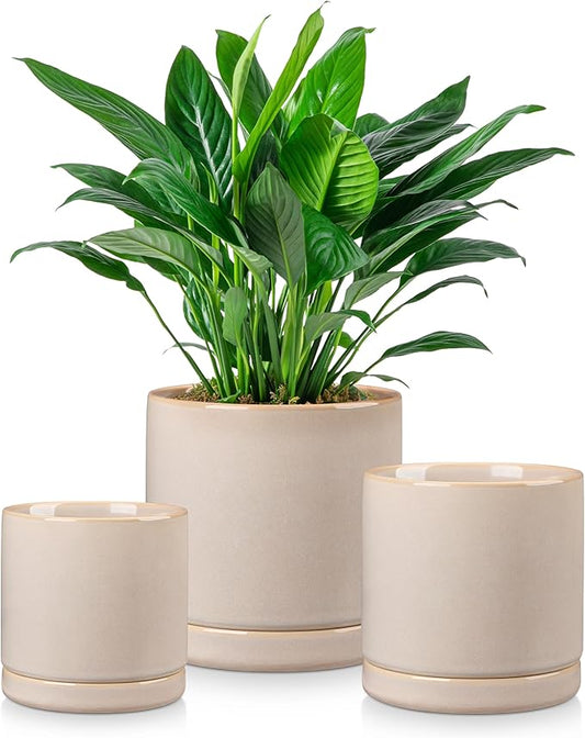 vancasso Ceramic Plant Pots, 3 Piece Planters for Indoor Plants, 4.25+5.25+6.25 Inch Flower Pots with Drainage, Plant Pots Indoor for Succulent, Pothos, Snake Plant and Money Tree, Etc (Gray)