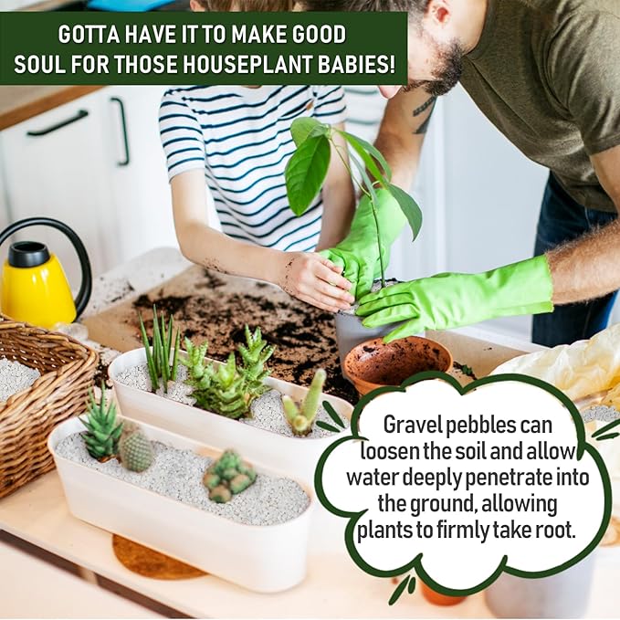 2 LBS White Pea Gravel, Natural Succulent and Cactus Gravel Pebbles, Pebbles for Indoor Plants, Natural Gardens Mulching, for Houseplants, for Aquarium Gravel, to Maintain Soil Aeration(4-6mm)