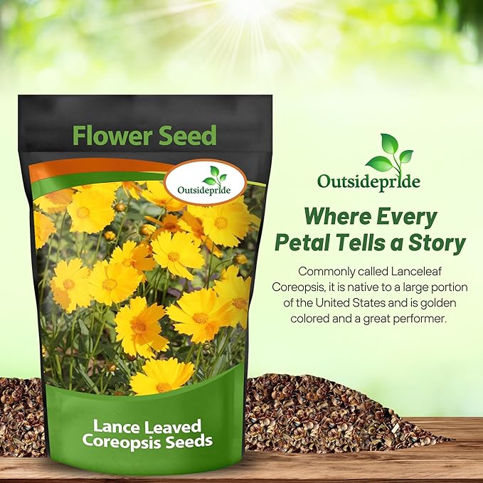 Outsidepride Lance-leaved Coreopsis Seeds - 1 lb. Perennial, Humidity & Drought Tolerant Flower Seeds for Planting Clumping Vibrant Golden Blooms, Ideal for Xeriscaping and Low Maintenance Gardens