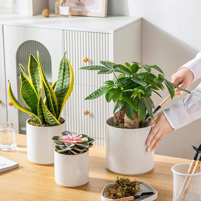 vancasso Ceramic Plant Pots, 4.25+5.25+6.25 Inch Planter Pot with Drainage Hole, Flower Pots for Indoor Outdoor Plants, Set of 3, White