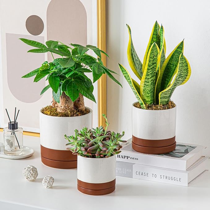 vancasso Ceramic Plant Pots, 3 Piece Planters for Indoor Plants, 4.25+5.25+6.25 Inch Flower Pots with Drainage, Plant Pots Indoor for Succulent, Pothos, Snake Plant and Money Tree, Etc (Khaki)