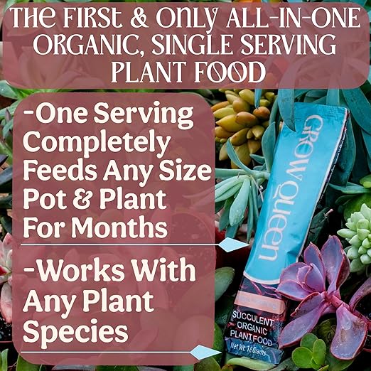 Complete Organic Cactus & Succulent Fertilizer, Succulent Plant Food & Cactus Food, Bonsai, Snake Plant Fertilizer, 11 Servings Fast & Slow Release Feeds up to 44 Plants 8 Months