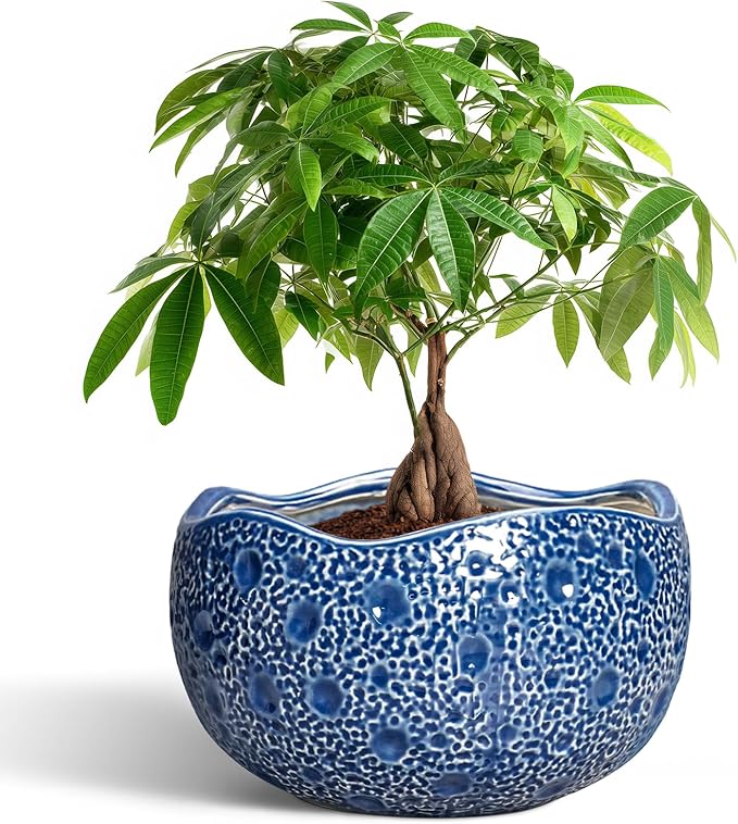 10 Inch Plant Pot - Ceramic Pots for Plants Indoor Outdoor, Round Bonsai Pots with Drainage Hole, Decorative Flower Pot, Modern Unique Planters, House Decor, Housewarming Gifts, Blue