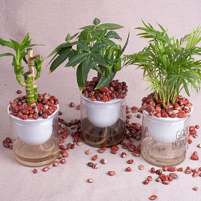 Polished Red Jasper Crystal Stone Set - 72 Pcs, 0.5" 10 oz Handpicked Tumbled Gemstones Rocks, Pebbles for Reiki, Chakra, Healing