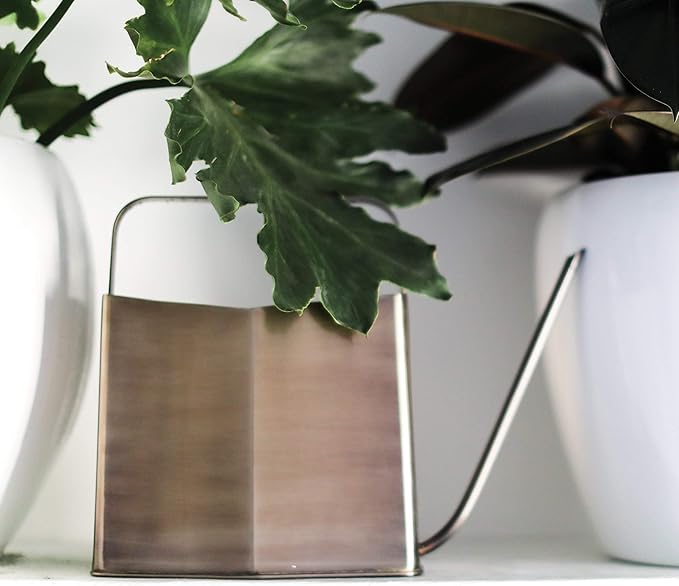 Modern Sprout Brass Finish Plant Watering Can - Long Spout Stainless Steel Vessel for Outdoor & Indoor Plants - Rust Resistant 3L Capacity - Stylish Garden Accessory for Houseplants & Decorative Use