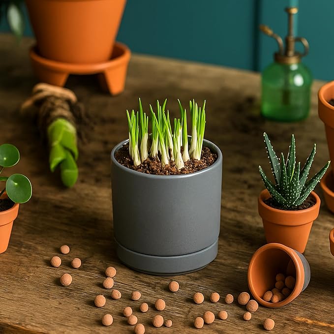 D'vine Dev Set of 3 Plants Pots, 3.5 Inch Ceramic Planter Pot for Plants with Drainage Hole and Saucer, Speckled Grey, 94-N-A-3