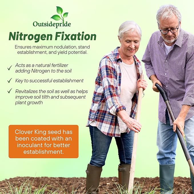 Outsidepride Perennial Clover King Seed Mix - 10 lbs Nitrocoated, Inoculated, Heat & Cold Tolerant, Alfalfa-Enhanced Food Plot Seeds for Deer & Wildlife, Ideal for Spring, Summer, & Winter Plots