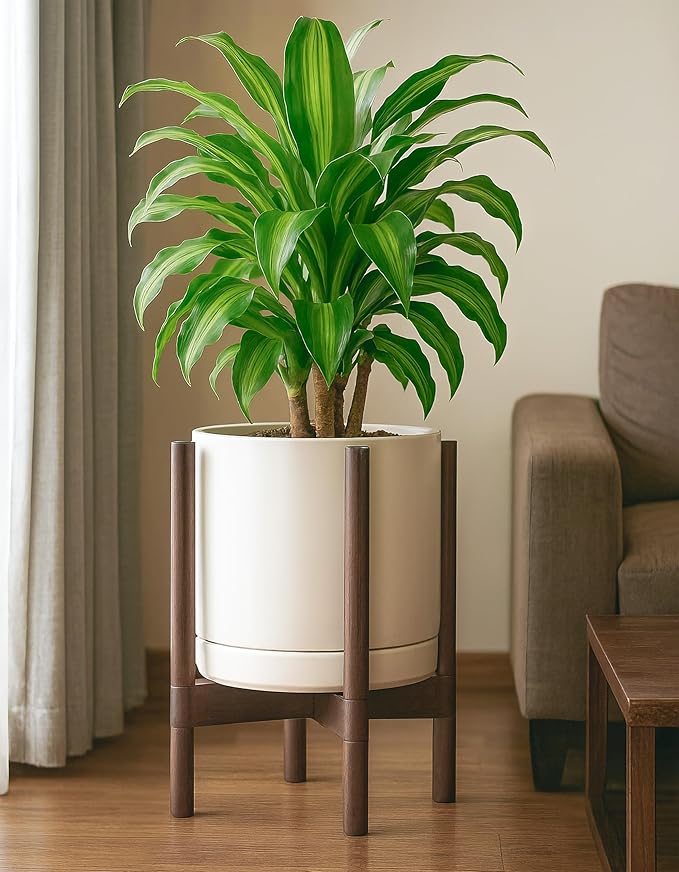 D'vine Dev Ceramic Planter with Walnut Color Stand - 12 Inch Modern Round Flower Pot with Wood Planter Holder, Oatmeal, 55-B-W-8