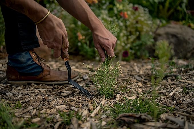 Barebones Dandelion Weeding Fork - Gardening Hand Tools - Japanese Hand Weeder, Weed Puller, and Weed Remover Tool (Walnut/Black)