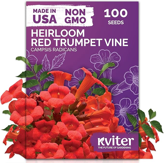 KVITER 100 Red Trumpet Vine Seeds for Planting (Campsis Radicans) – Trumpet Creeper, Organic & Heirloom Hummingbird Vine – Perennial Flower Seeds to Plant Outside – Fences, Trellises & Outdoor Garden