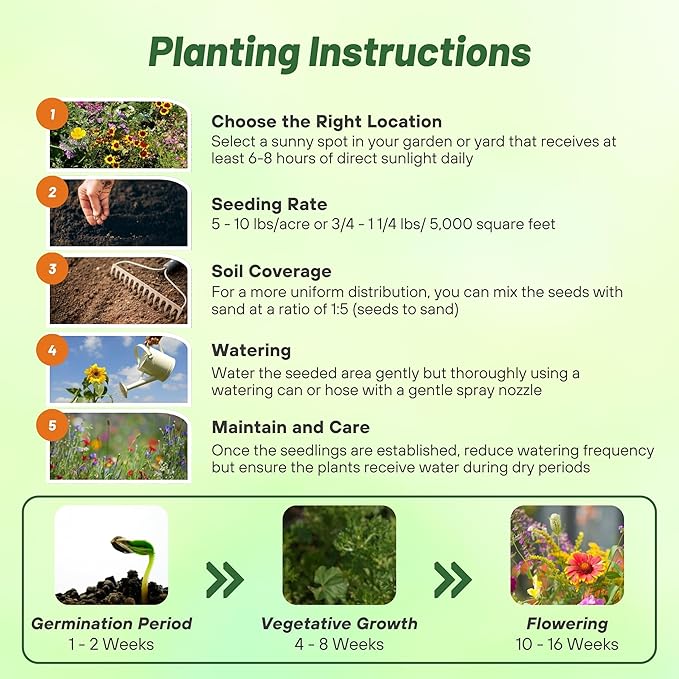 Outsidepride Annual Sun Wild Flower Seed Mix - 1 lb Premium Blend of Annual Wildflower Seeds for Sunny Locations, Vibrant & Easy-to-Grow, Attracts Pollinators, Ideal for Home Gardens & Floral Displays