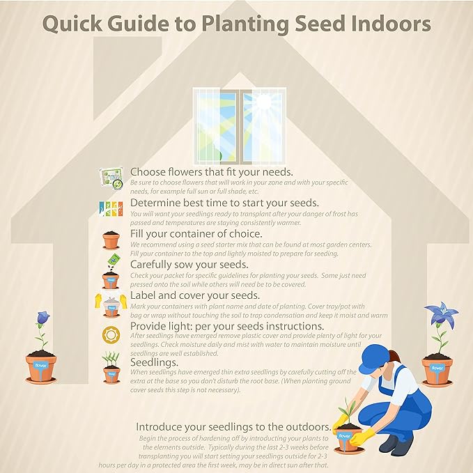 Outsidepride Delphinium Rose Larkspur Seeds for Planting Outdoors - 2000 Pcs Annual, Self-Seeding, Heat & Drought Tolerant Wildflower Seeds, Colorful Blooms for Flower Arrangement & Pollinator Garden