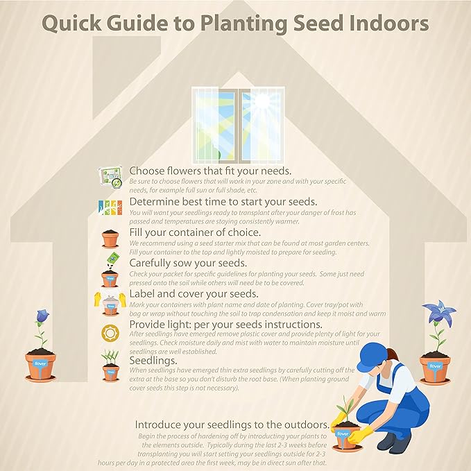 Outsidepride Delphinium Lilac Larkspur Seeds for Planting Outdoors - 2000 Pcs Annual, Self-Seeding, Heat & Drought Tolerant Wildflower Seed, Colorful Blooms for Flower Arrangement & Pollinator Garden