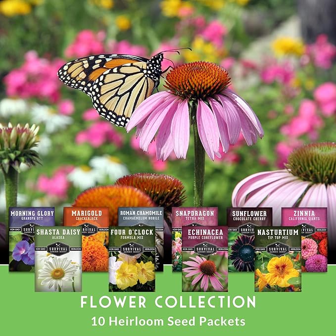 10 Flower Seed Collection for Planting | Zinnia, Sunflower, Marigold, Snapdragon, Nasturtium, Morning Glory, Chamomile, Shasta Daisy, Purple Coneflower, Four O’Clock - Survival Garden Seeds