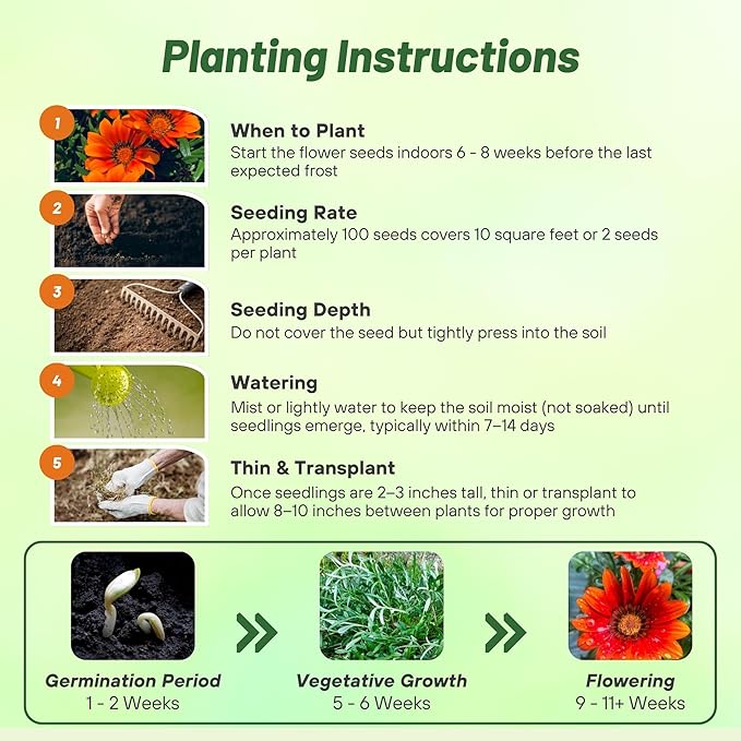 Outsidepride New Day Bronze Gazania Seeds for Planting – 25 Pcs Perennial, Low-Maintenance, Drought-Tolerant Ground Cover Seeds for Vibrant Summer & Fall Flowers, Great for Outdoor Gardens