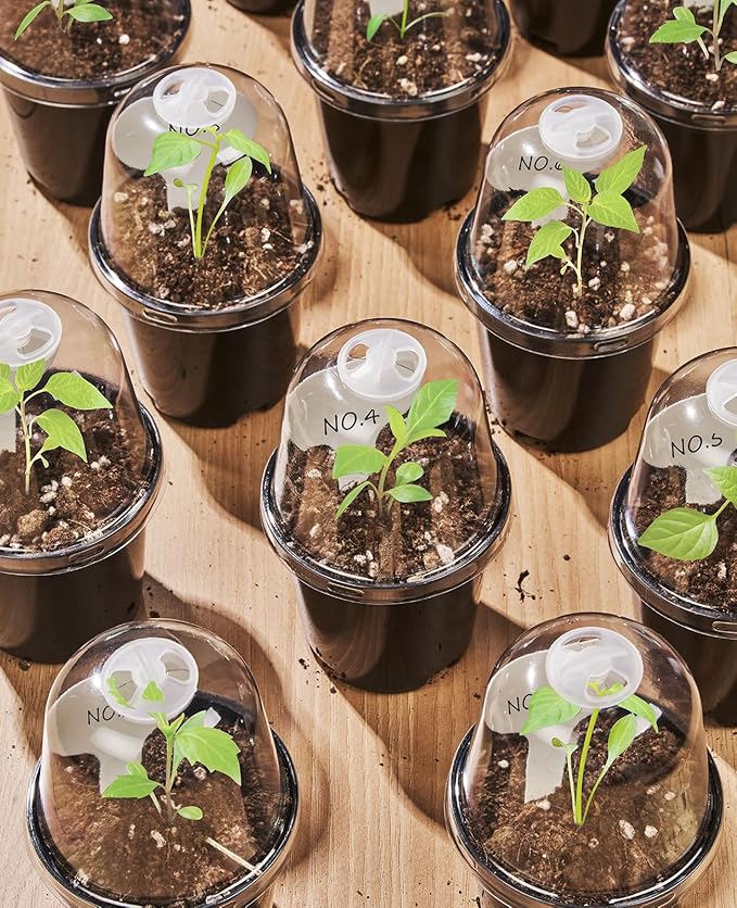 homenote Nursery Pots for Plants,4 Inch Plant Pot for Planting with Humidity Domes Plastic Seedling with Drainage Holes Seed Starter Flower with 10 Labels Black (30 Pack)