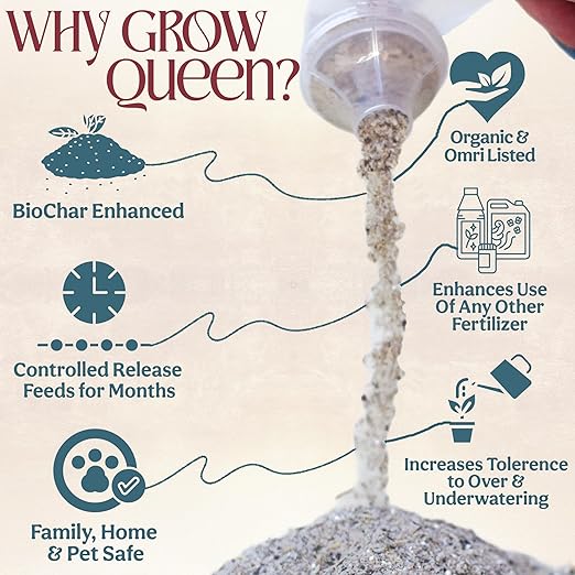 All-In-One Organic Succulent Fertilizer, Cactus Fertilizer, Succulent Plant Food, Bonsai & Cactus Food, 1lb bag = 25 Single Servings, Fast & Slow Release feeds up to 100 plants for 8 months