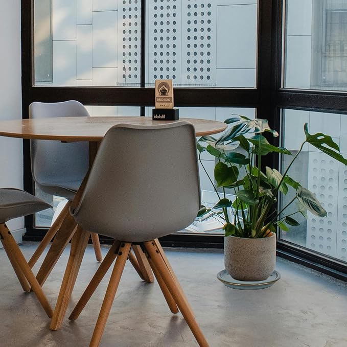 W&W Ceramic Plant Saucer - Plant Trays for Indoor Pots (Teal, 8 inches, 2 Packs)