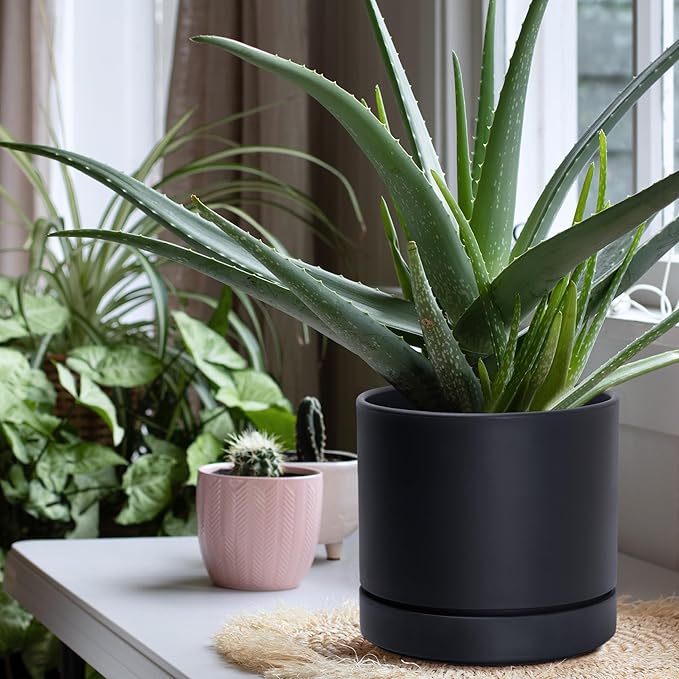 Phoenix Vine 8 Inch Planter Pot with Drainage Hole & Saucer, Deep Water Catch Tray, Straight Cylindrical Round Pot for Plants, Matte Black, Pack of 1, 23-C-T-1