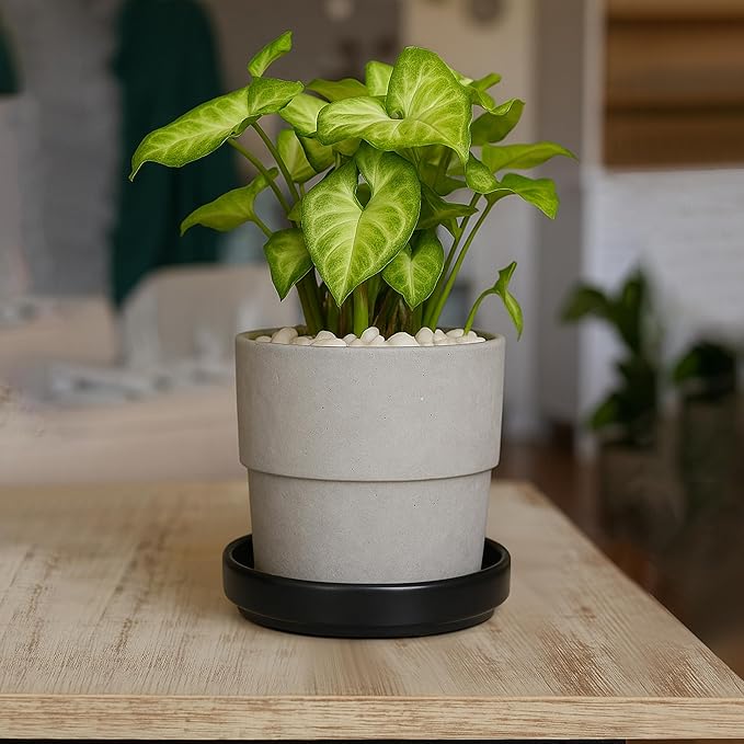 D'vine Dev Modern Round 5.4 Inch Ceramic Plant Pot Saucer, Planter Pot Drainage Tray for Indoor Plants, Matte Black, 97-T-B-2